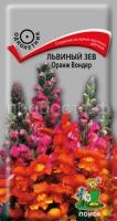 Львиный зев Оранж Вондер Львиный зев Оранж Вондер
