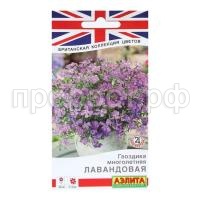 гвоздика многол. лавандовая