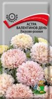 Астра Валентинов день Лососево-розовая Астра Валентинов день Лососево-розовая