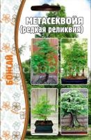 Метасеквойя 10 шт Метасеквойя 10 шт