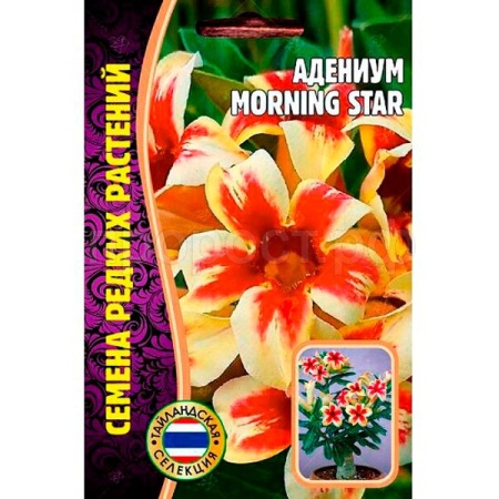 Адениум MORNING STAR 3шт
