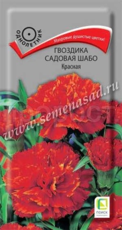 Гвоздика садовая Шабо Красная 0,1г