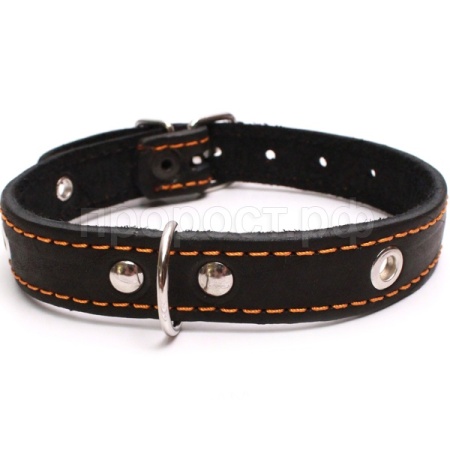 Ошейник кожа 35мм 1слойный безразмерный 63-65см/40991
