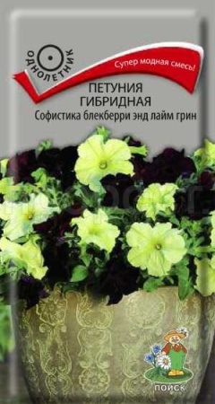 Петуния гибридная Софистика блекберри энд лайм грин 5шт