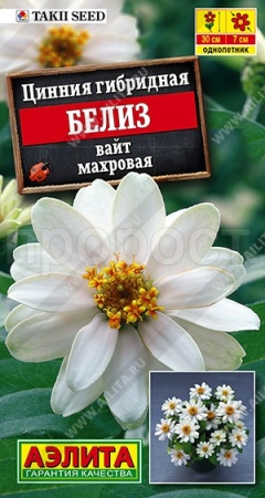 Цинния Букетная смесь