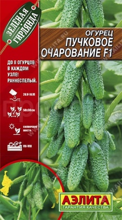 Огурец Пучковое очарование F1 10шт 
