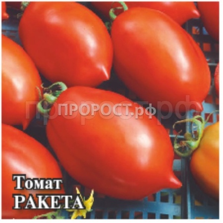Томат Ракета 5 г Томат Ракета 5 г