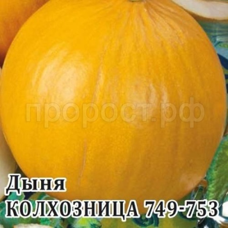 Дыня Колхозница 749/753 10 г