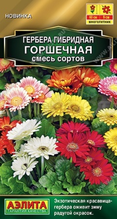 Гербера Горшечная смесь 10шт 