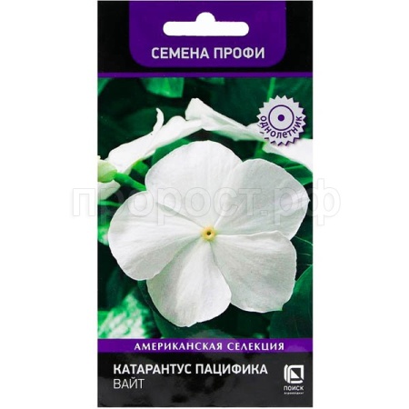 Катарантус Пацифика Вайт 10шт