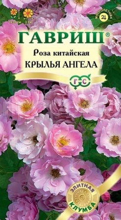 Роза китайская  Крылья ангела 5шт