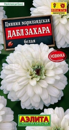 Цинния Дабл Захара белая 5шт 