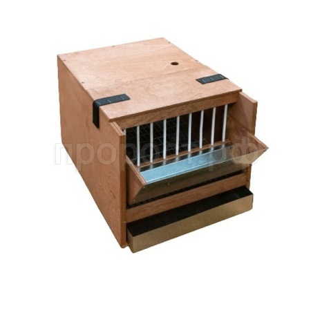 Бокс 7 перепелов малый