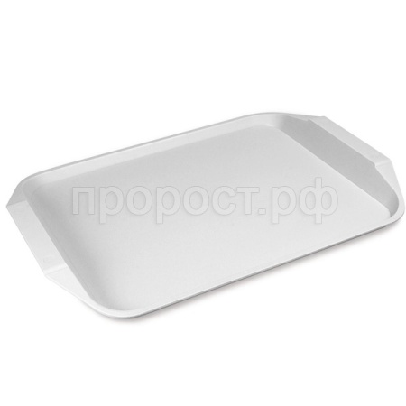 Поднос 30*43см светло-серый С48 /40шт/Мартика  Поднос 30*43см светло-серый С48 /40шт/Мартика