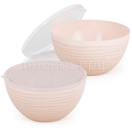 Набор Чаш Оазис (2шт) с крышкой бежевый (2,5л 4л) М8408 /12шт/ Альтерн Набор Чаш Оазис (2шт) с крышкой бежевый (2,5л 4л) М8408 /12шт/ Альтерн