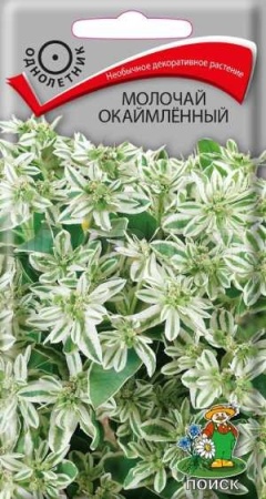 Молочай окаймленный 0,2г