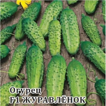 Огурец Журавленок F1 25 г