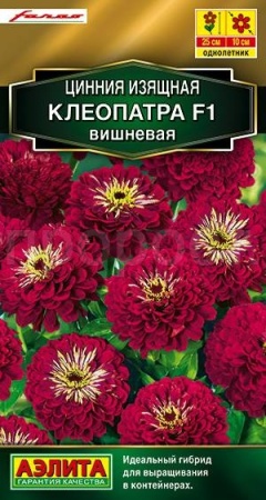 Цинния Клеопатра F1 вишневая 12шт