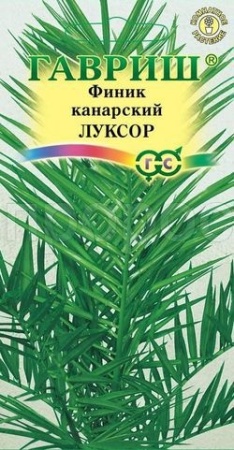 Финик канарский Луксор 2шт