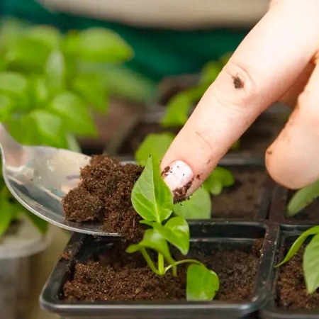 Грунт Фаско для Цветущих 5л