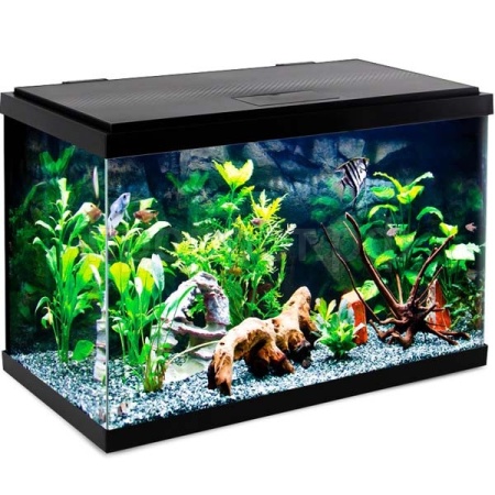 Аквариум Nimbus 75,7л 614*322*422мм/Laguna/73534026
