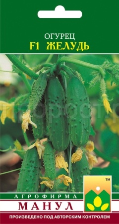 Огурец Желудь F1 12 шт