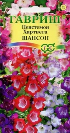 Пенстемон Хартвига Шансон наперстянковый 0,1г 