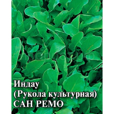 Индау (двурядник, рукола) Сан Ремо 25г Индау (двурядник, рукола) Сан Ремо 25г