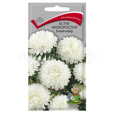 Астра низкорослая Белый ковер 0,2г 