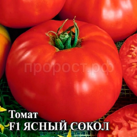 Гавриш Фермерская Томат Ясный сокол F1 100 шт 