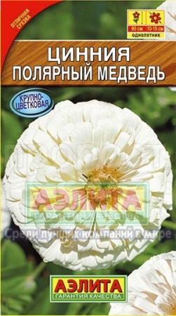 Цинния Полярный медведь