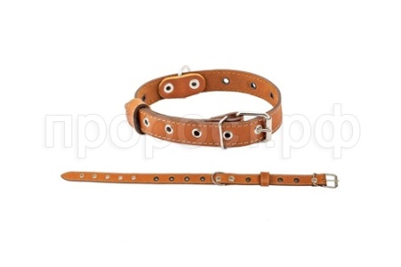 Ошейник кожа 25мм 1сл Стандарт безразмерный до 56см/010125