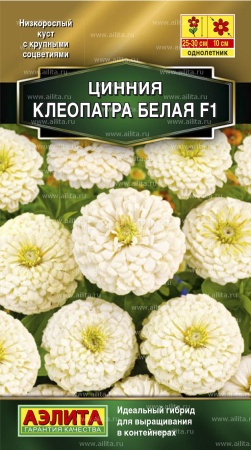 Цинния Клеопатра F1 белая 12шт