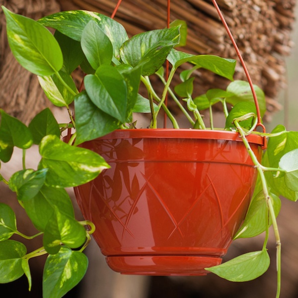 Подвесное Лилия 2,5л терракот с под. /40шт/ЭД