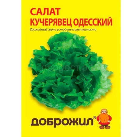 Салат Кучерявец одесский 0,5г