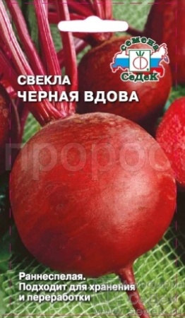 Свекла Черная вдова 3г