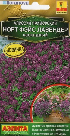 Алиссум Норт фэйс лавендер каскадный 10шт 