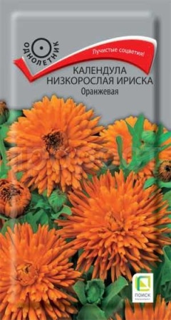 Календула Ириска Оранжевая 10 шт