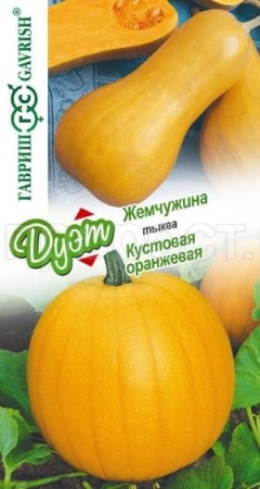 Тыква мускатная Жемчужина 1,0 г+ Тыква твердокорая Кустовая оранжевая 1,0 г