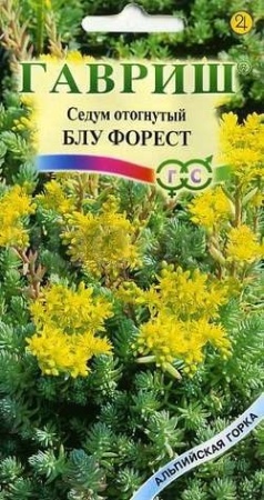 Седум отогнутый Блу Форест 0,01г 