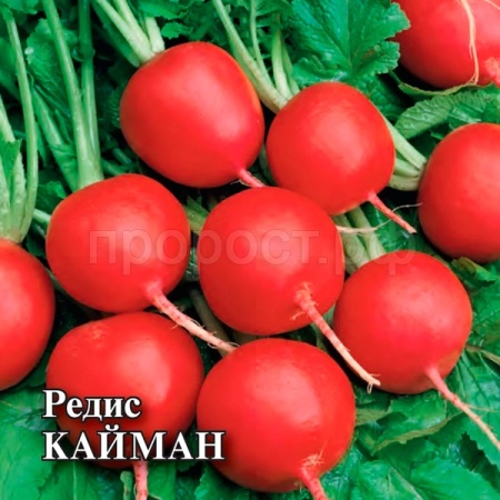 Гавриш Фермерская Редис Кайман 50 гр 