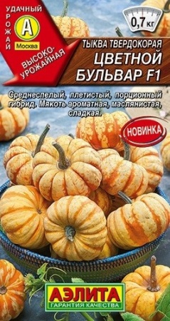 Тыква твердокорая Цветной бульвар F1 5шт Аэлита