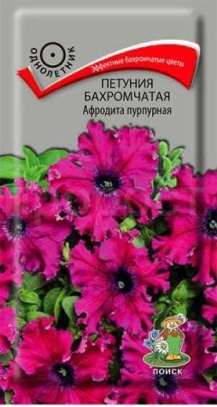 Петуния бахромчатая Афродита пурпурная 10шт