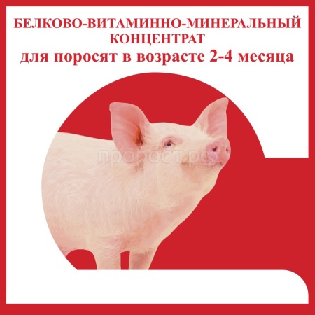 БВМК для поросят от 2-4 месяцев россыпь 25кг