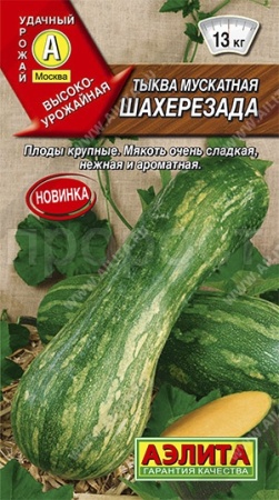 Тыква мускатная Шахерезада 1г